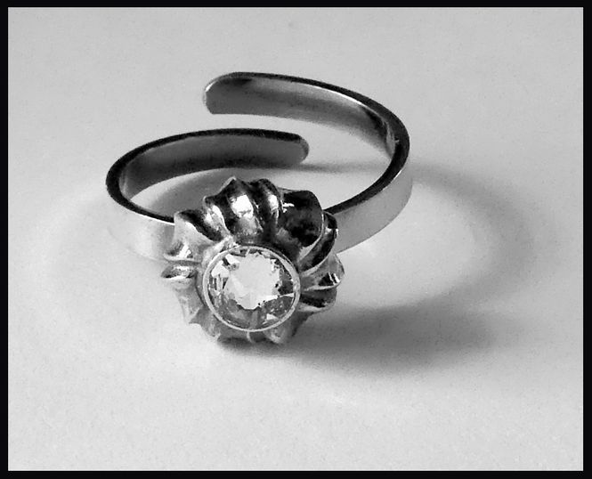 Hovedbilde Bispestol ring